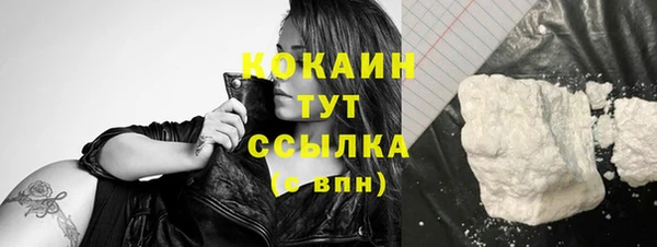 мдпв Лабытнанги