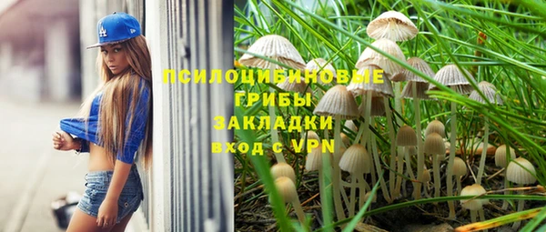 эйфоретик Ладушкин