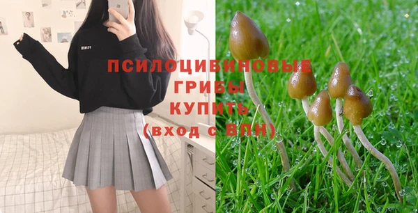 мдпв Лабытнанги