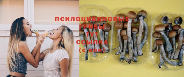 эйфоретик Ладушкин