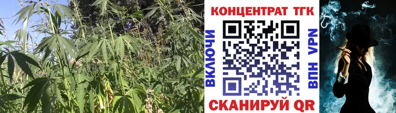 Купить где  Химки  ТГК Wax 